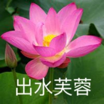 兽人计划手游下载